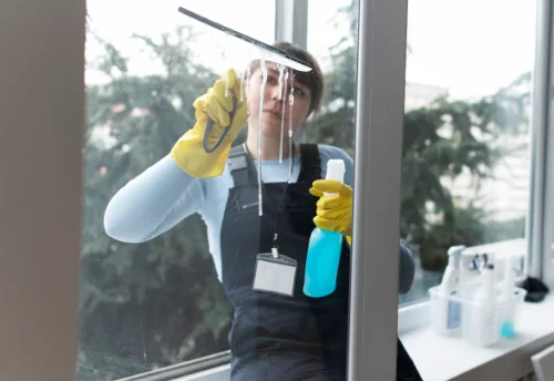 Nettoyage de vitres intérieures et extérieures à Oyré